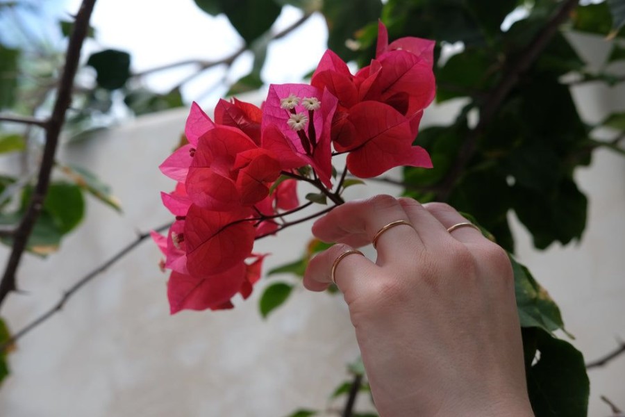 Jewelry SarahBijoux | Wire Gold Ring